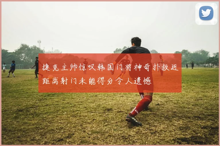 捷克主帅惊叹韩国门将神奇扑救近距离射门未能得分令人遗憾