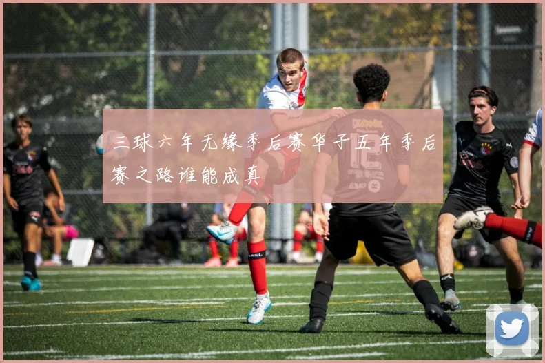 三球六年无缘季后赛华子五年季后赛之路谁能成真